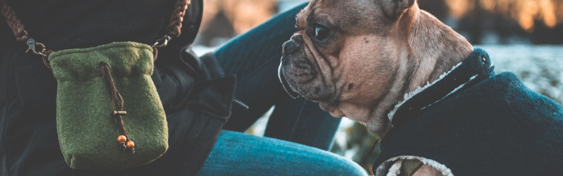Nachhaltiges Hundezubehör