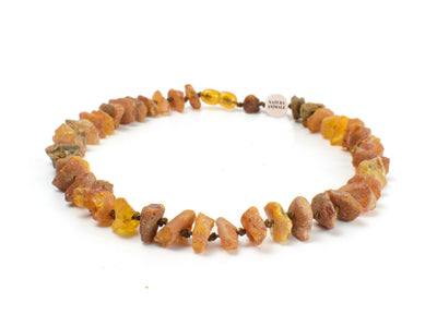 Bernsteinkette für Hunde gegen Zecken