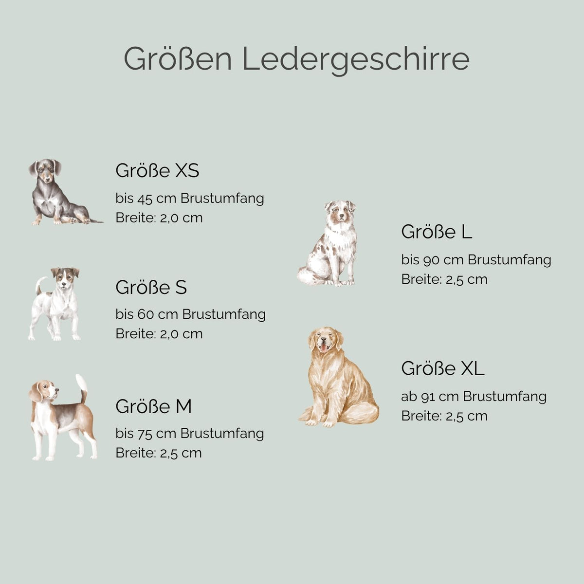 Ledergeschirr 'Waldstreuner' Dunkelbraun