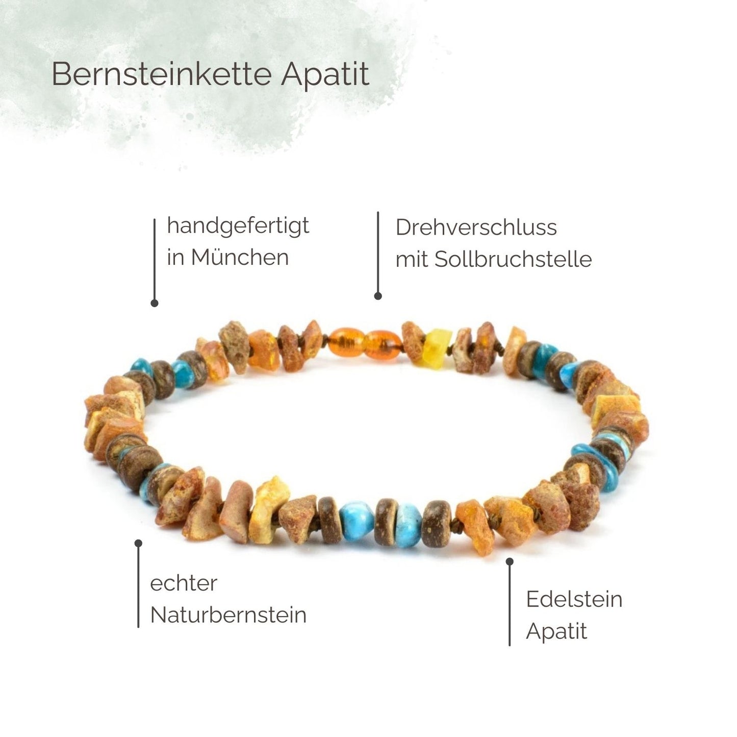 Highlights Bernsteinkette für Hunde