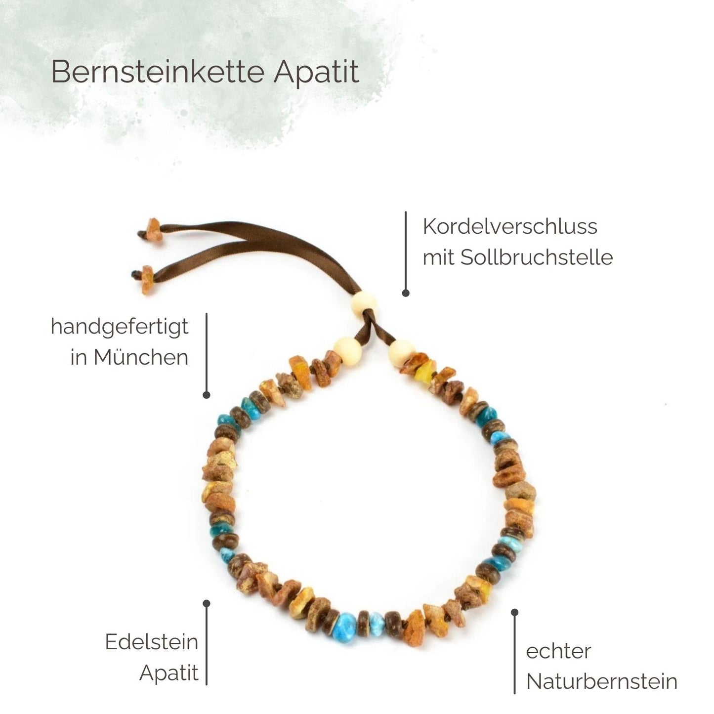 Highlights Bernsteinkette für Hunde