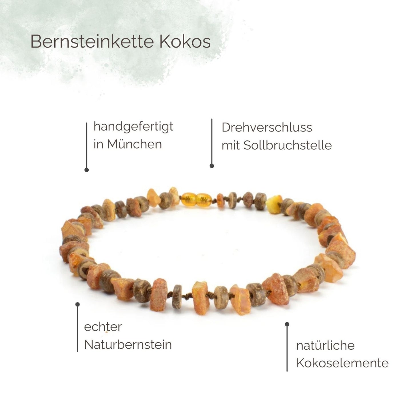 Highlights Bernsteinkette für Hunde