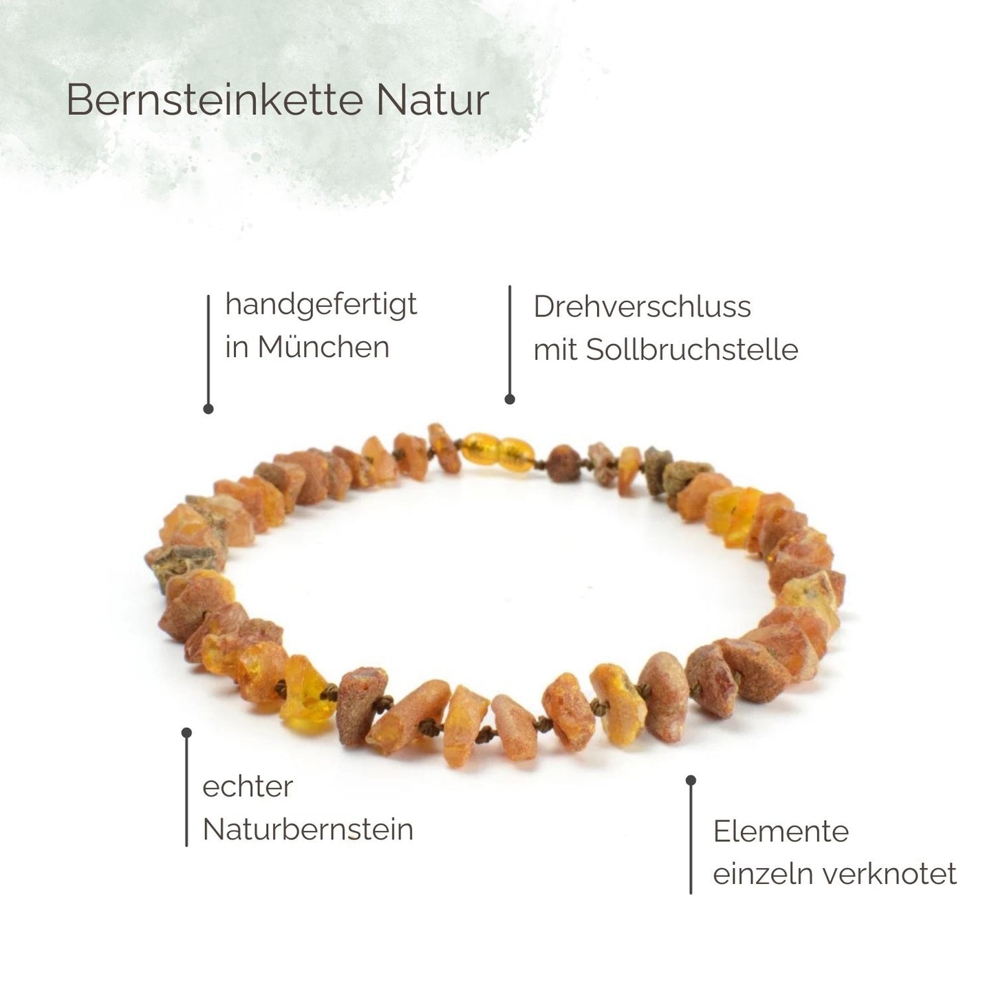 Highlights Bernsteinkette für Hunde