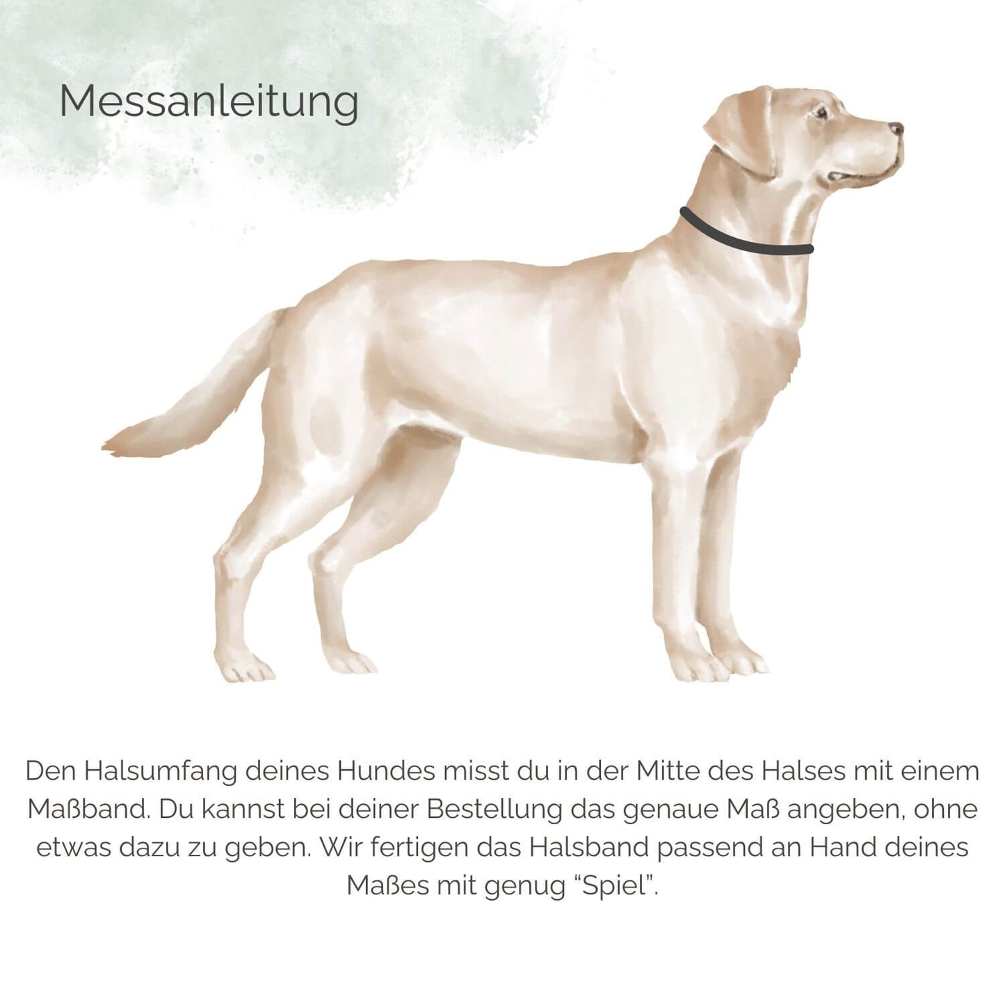 Hundehalsband für Hunde Messeanleitung