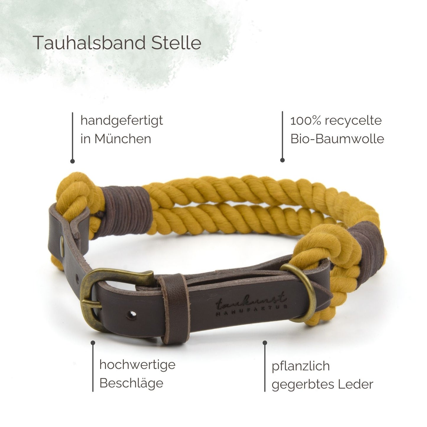 Tauhalsband Stelle für Hunde Highlights