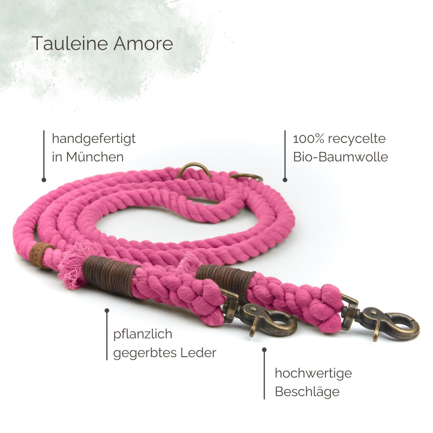 Tauleine Amore für Hunde