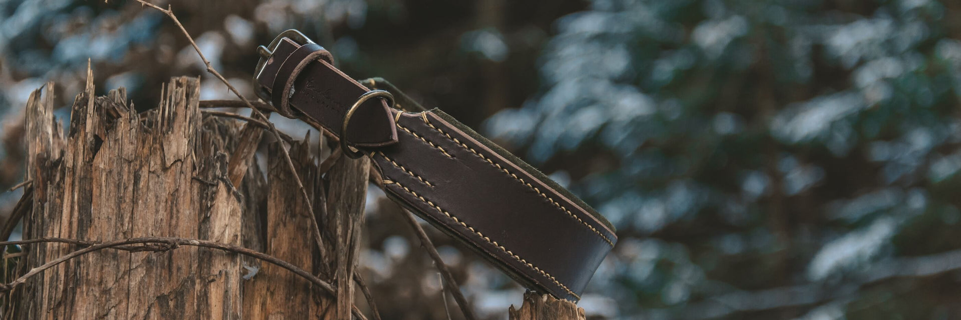 Zugstopp-Halsbänder für Hunde