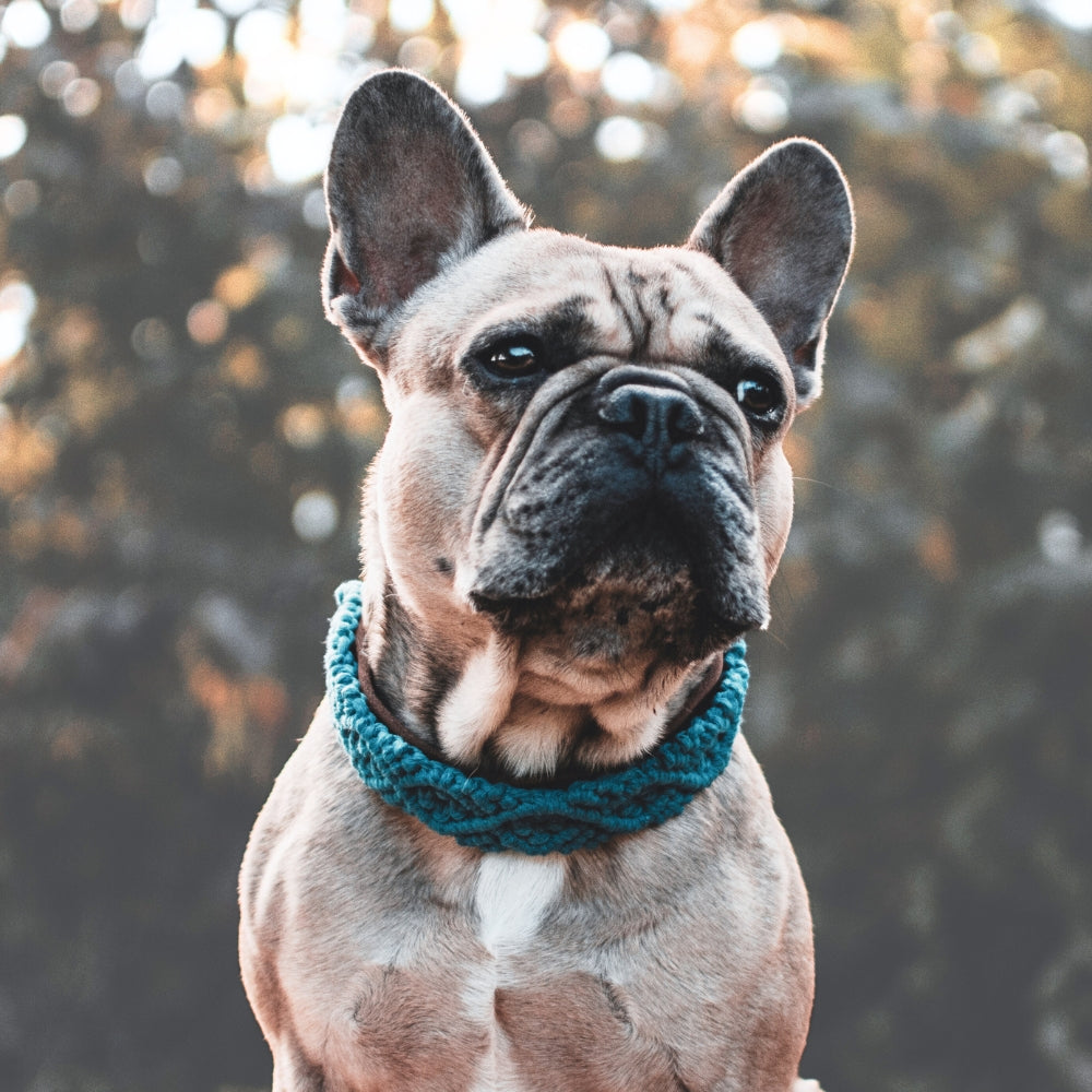 Boho Makramee Lederhalsband für Hunde Rassen