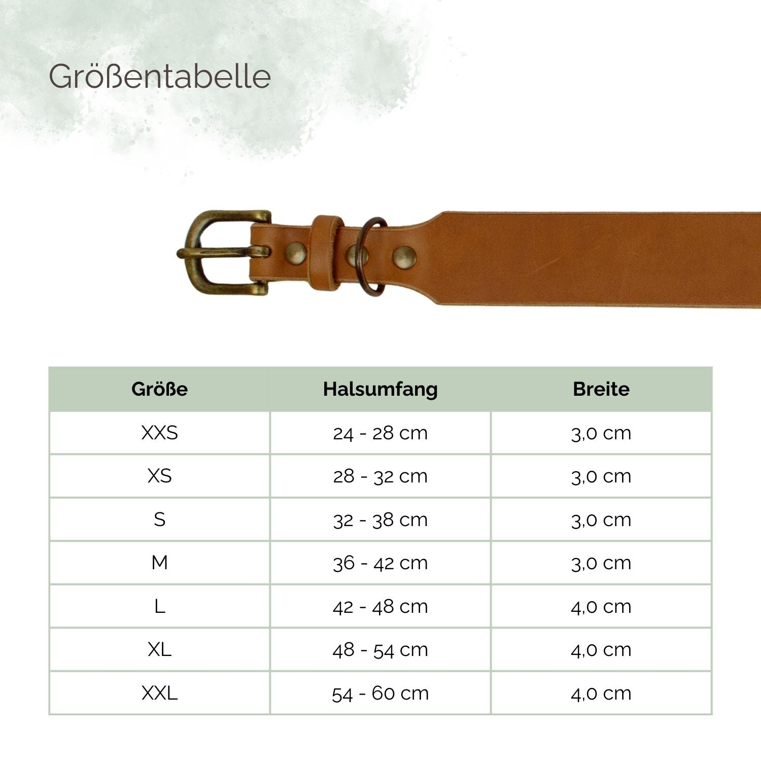 Größentabelle für breite Lederhalsbänder