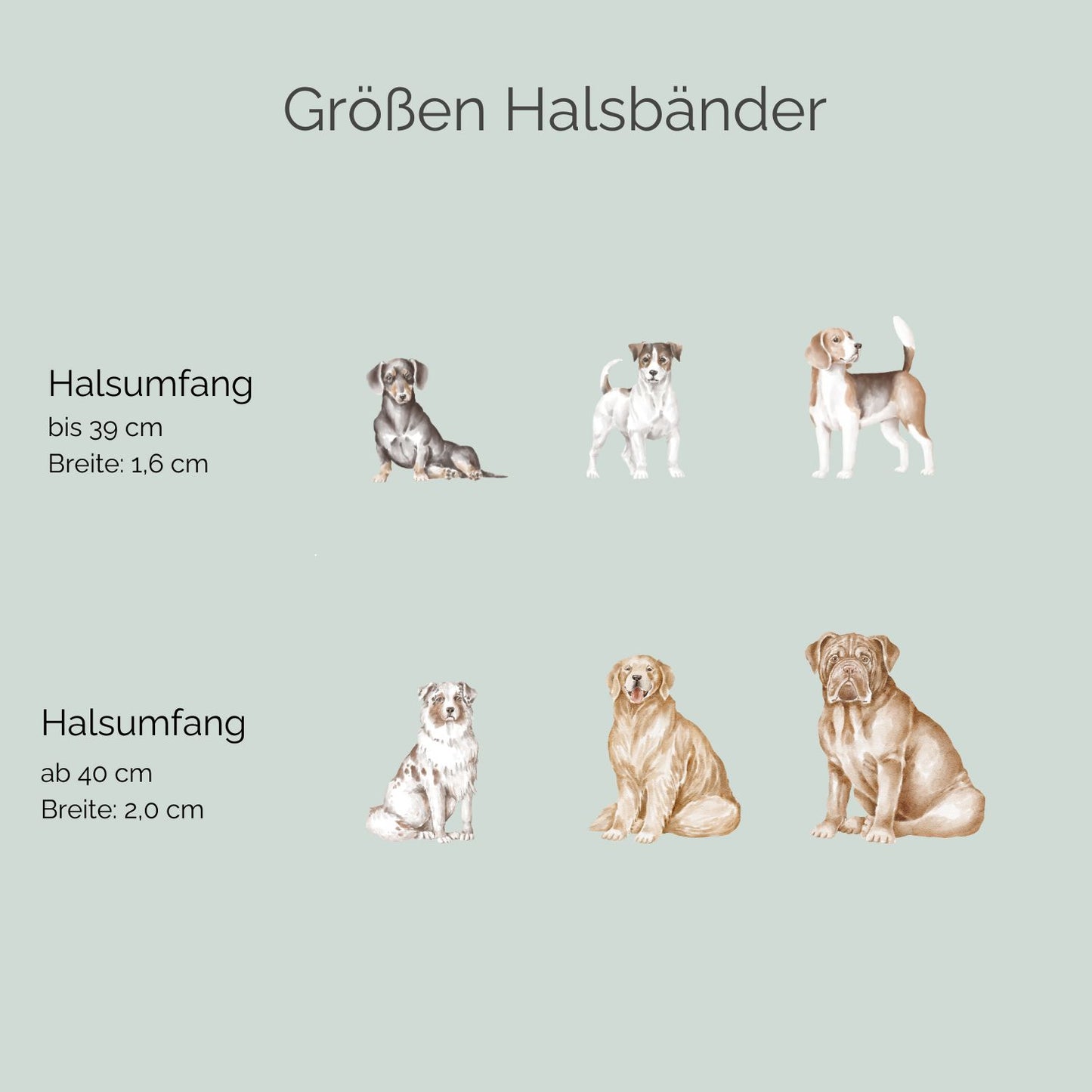 Zugstopp Tauhalsband 'Notte'