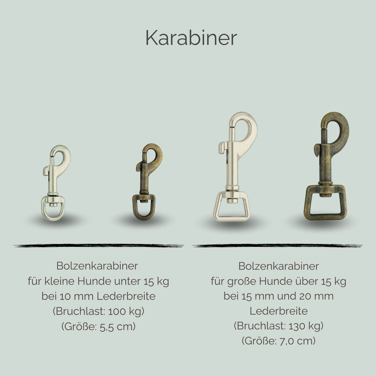 Lederleine für Hunde Karabiner
