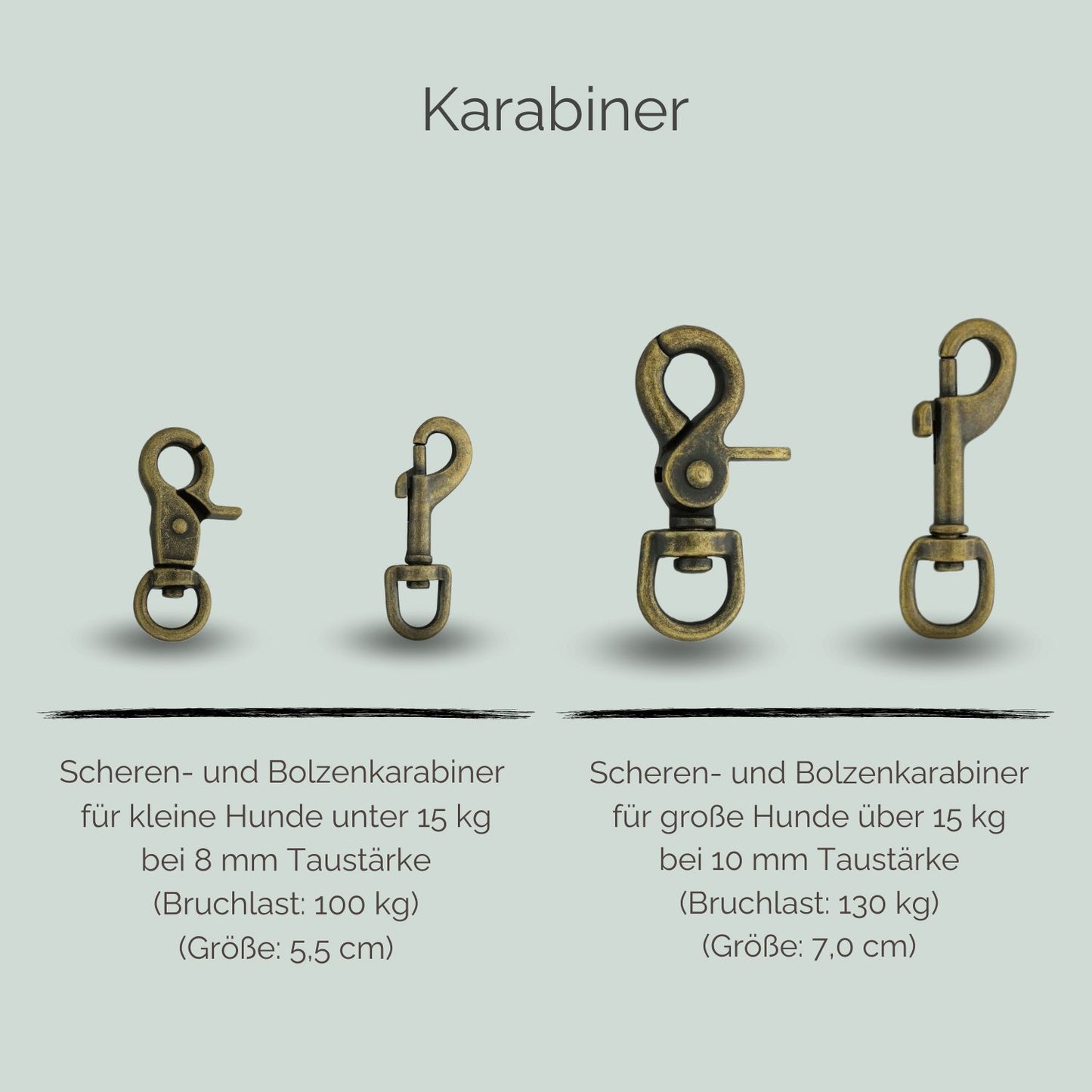 Tauleine für Hunde Karabiner