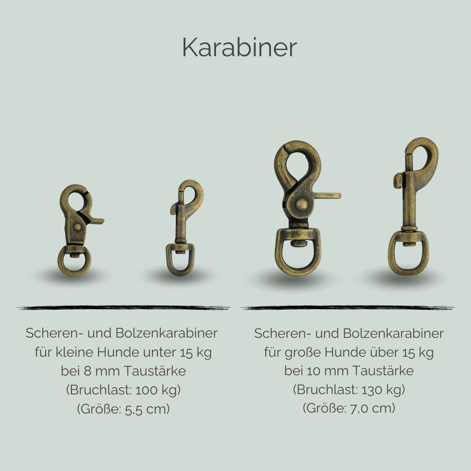 Tauleine für Hunde Karabiner