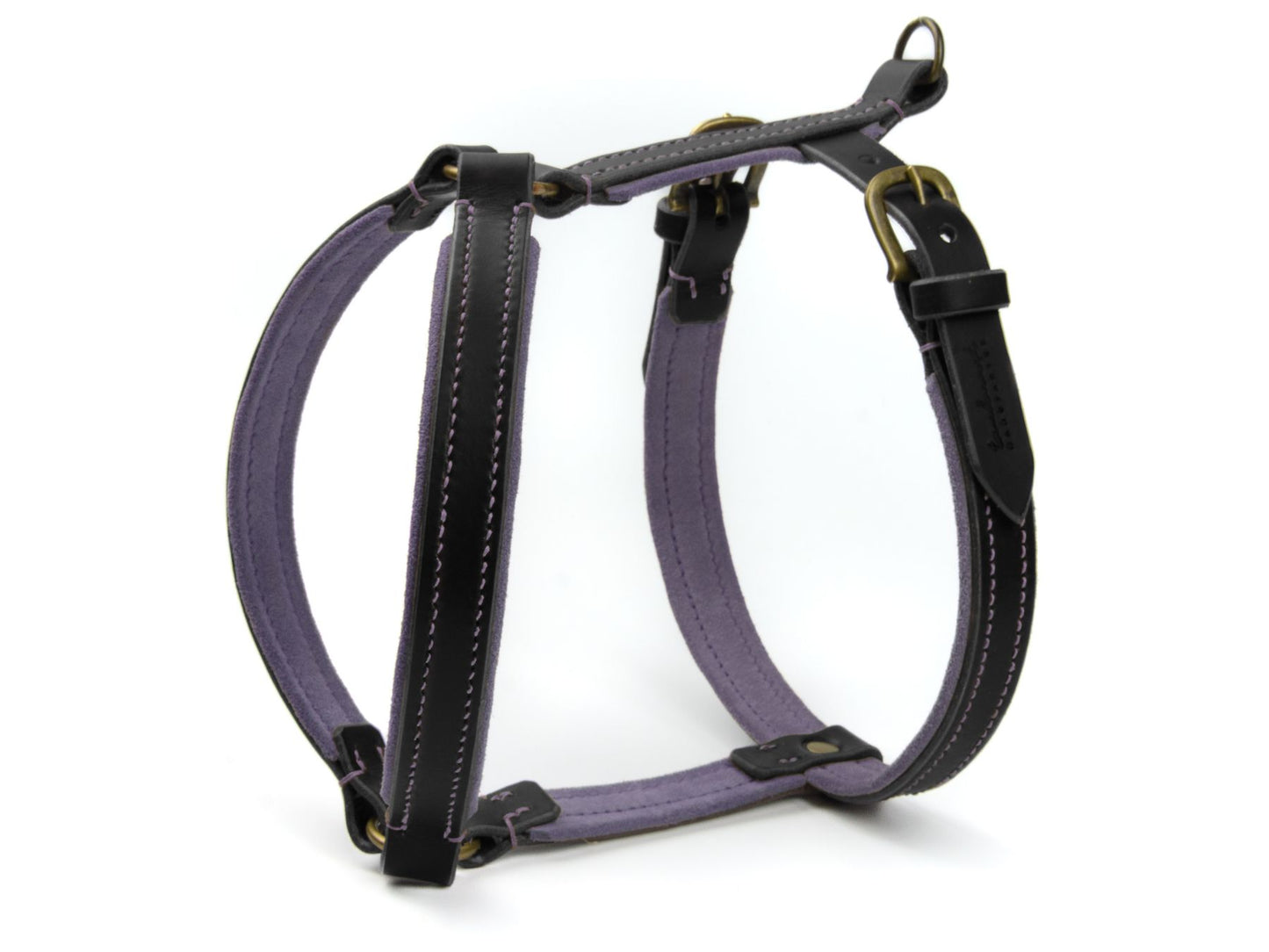 Ledergeschirr 'Wildfang' Schwarz