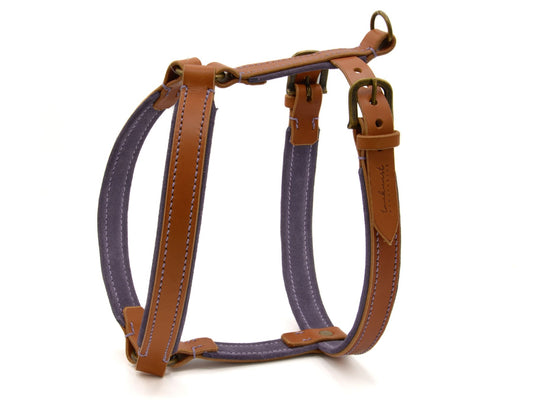 Ledergeschirr 'Wildfang' Cognac