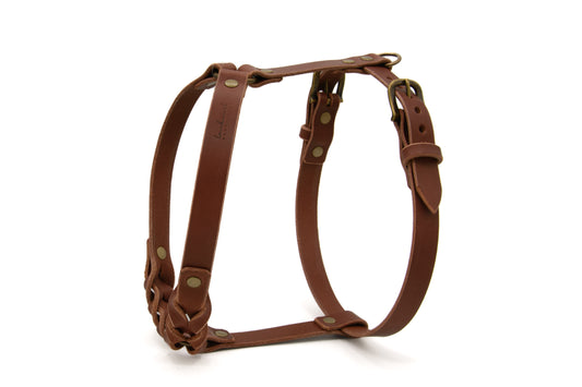 Ledergeschirr 'Waldstreuner' Braun