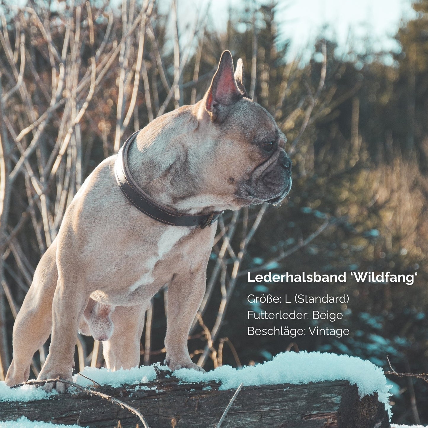 Lederhalsband 'Wildfang' Dunkelbraun