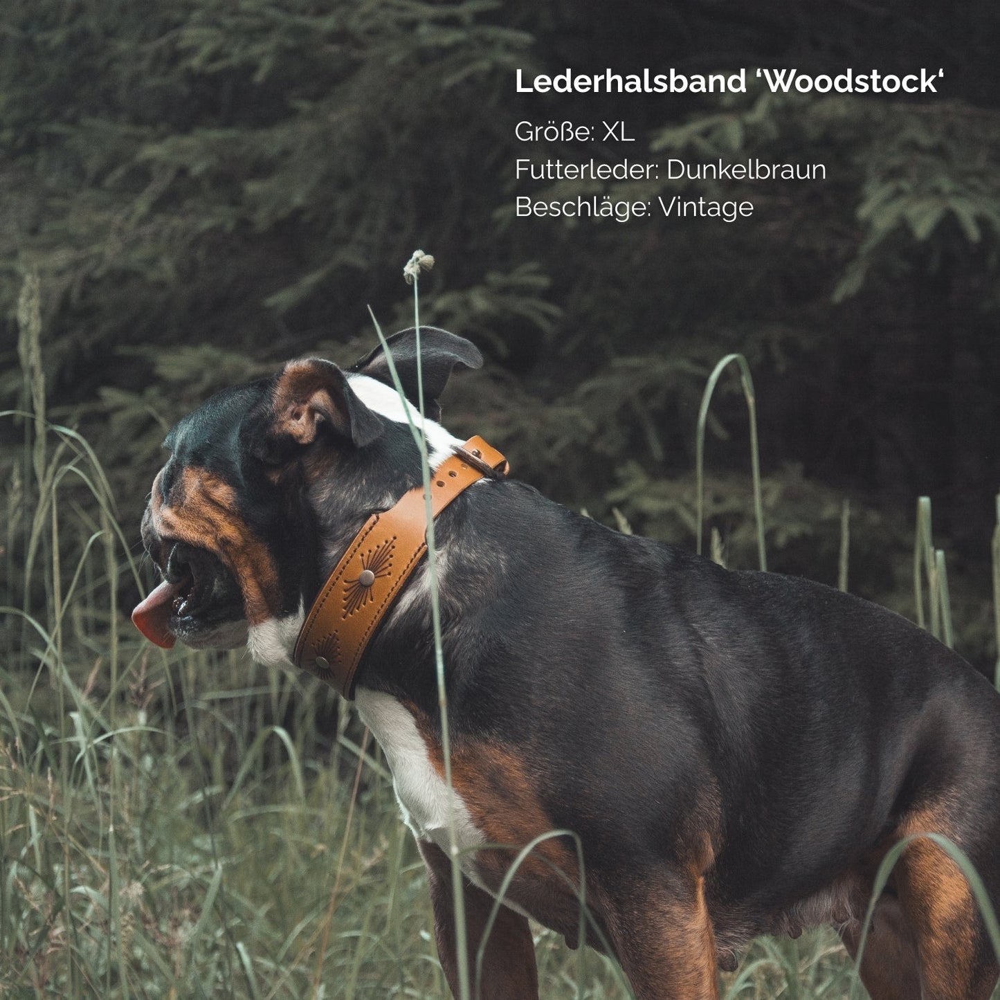 Lederhalsband 'Woodstock' Camel