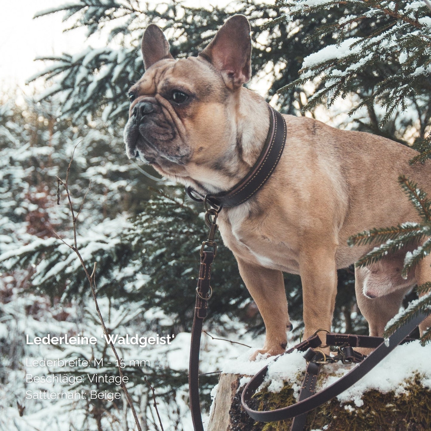 Lederleine 'Waldgeist' Dunkelbraun