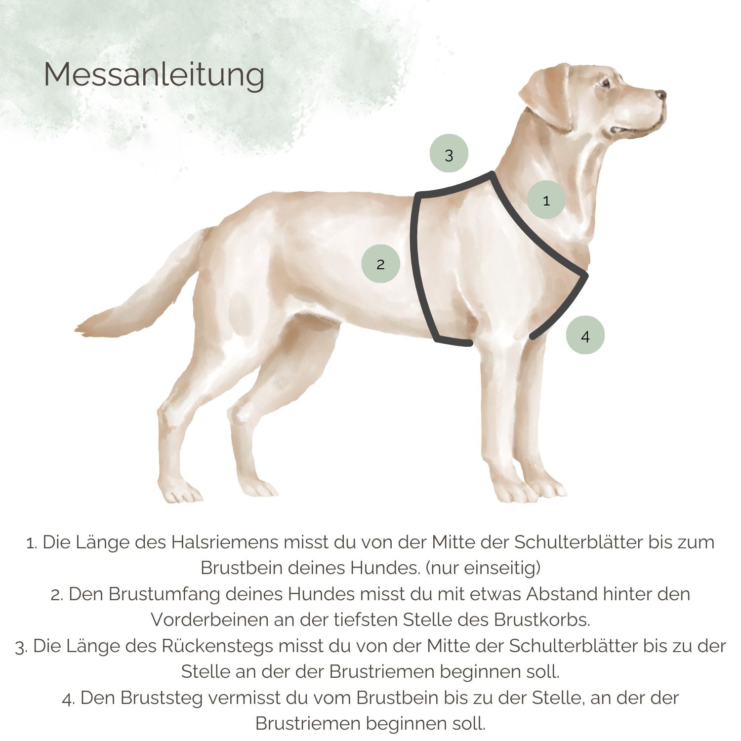 Messanleitung für Hundegeschirre aus Leder