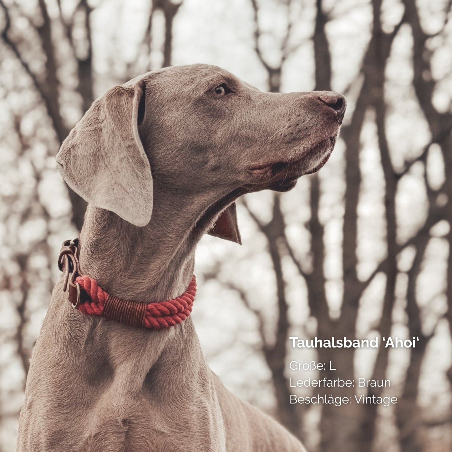 Tauhalsband 'Ahoi' Weinrot