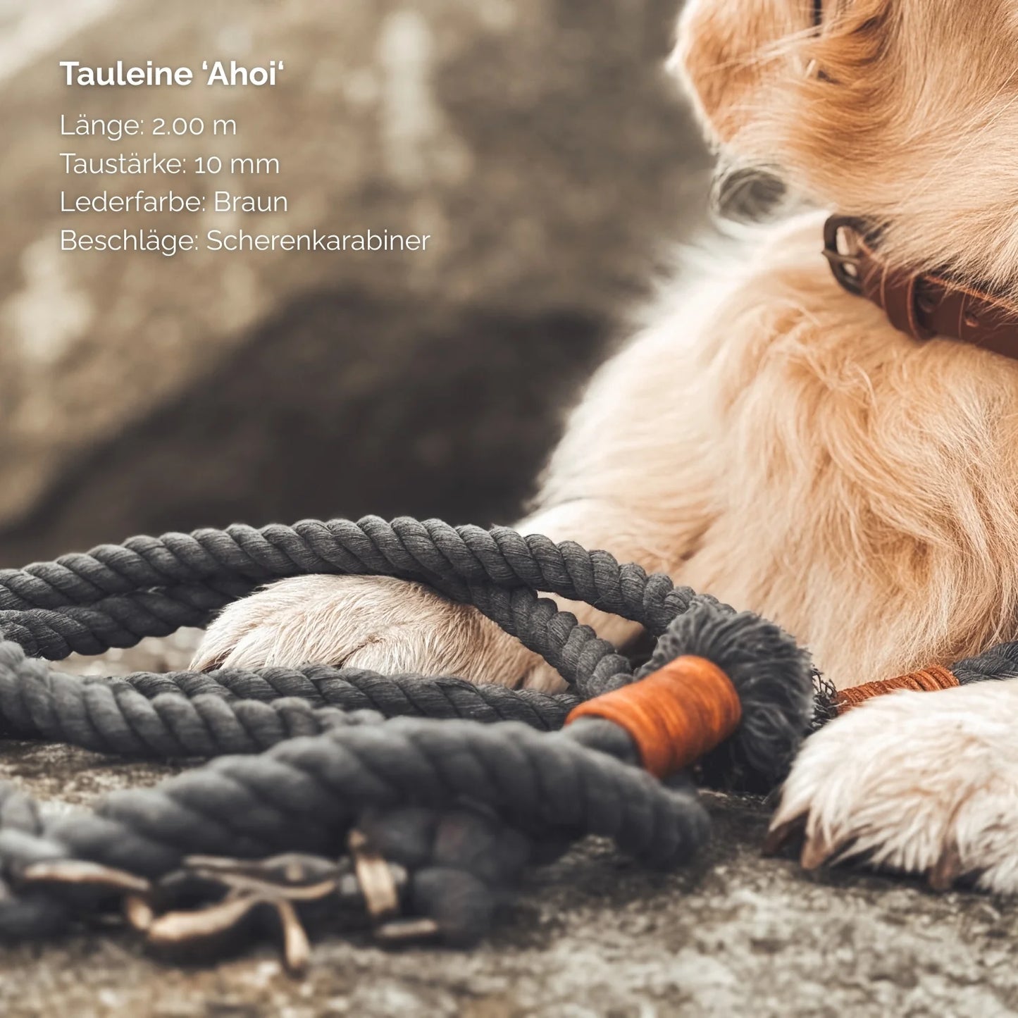 Tauleine 'Ahoi' Schwarz