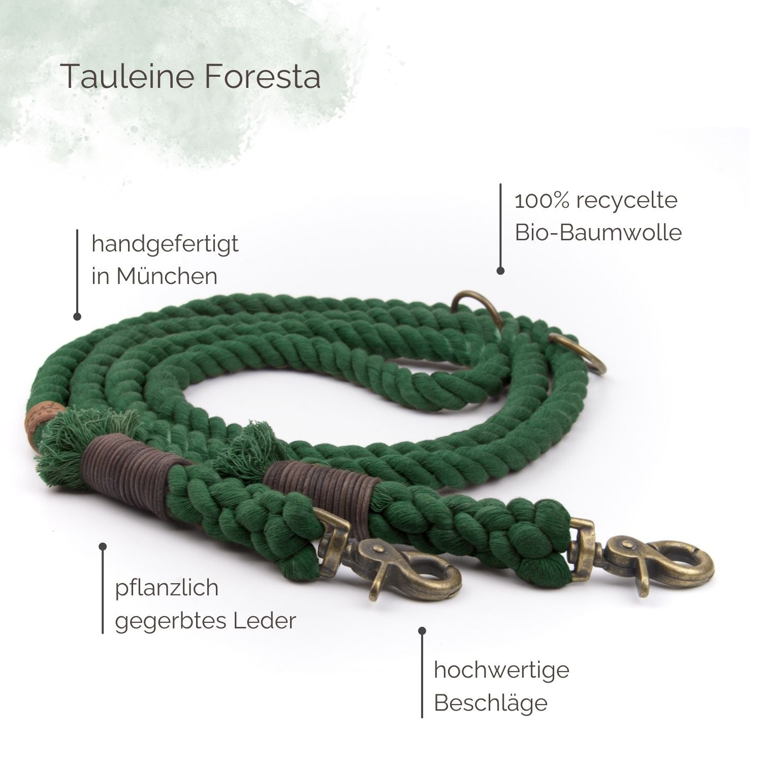 Tauleine Foresta für Hunde