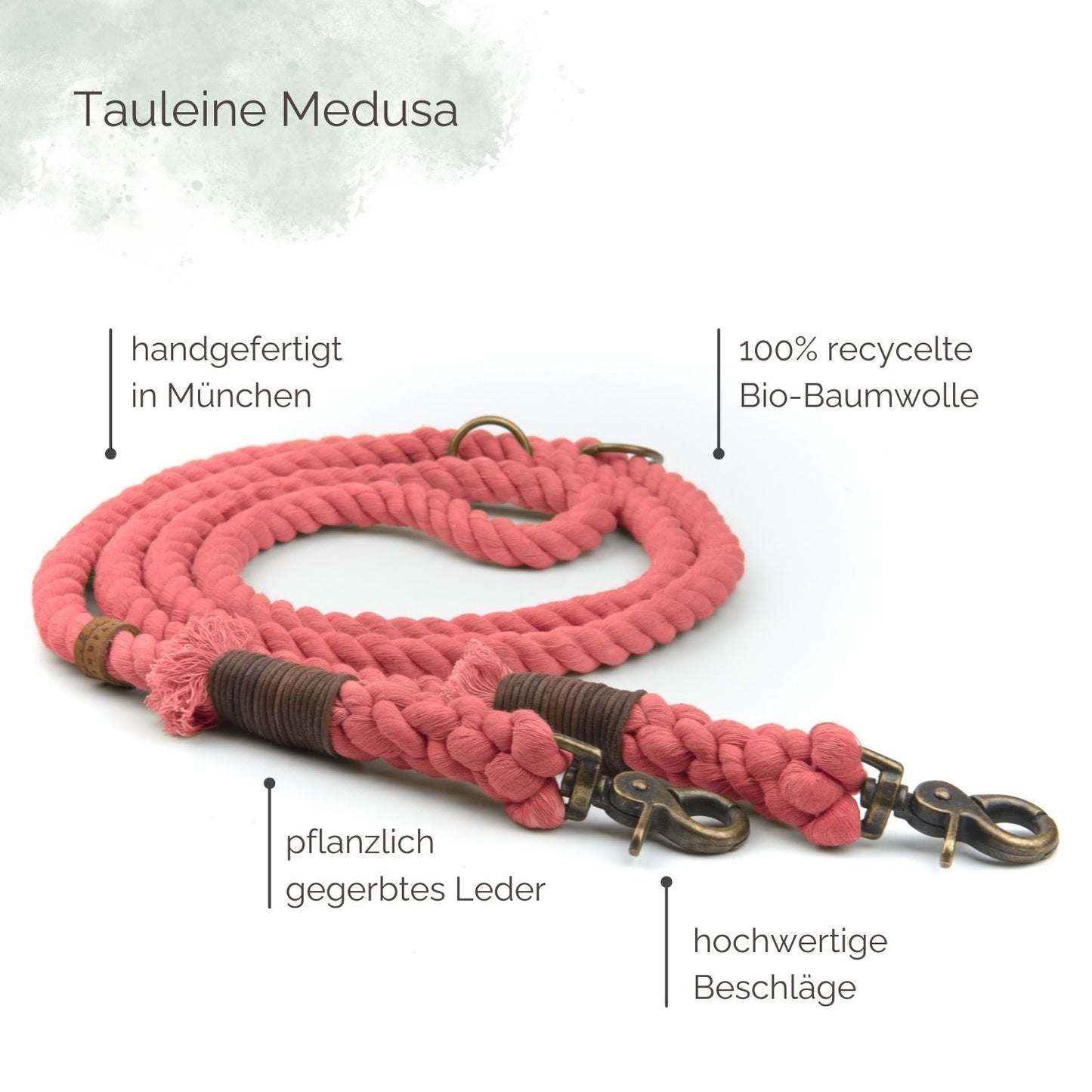 Tauleine Medusa für Hunde