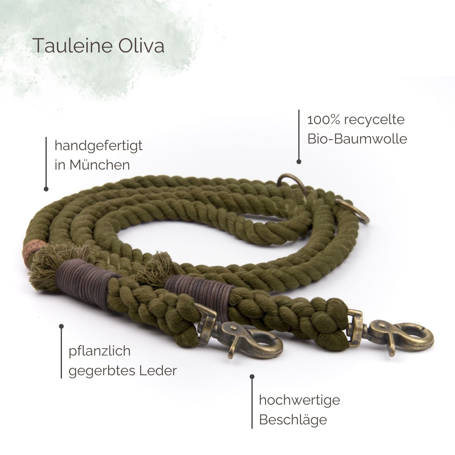 Tauleine Olive für Hunde