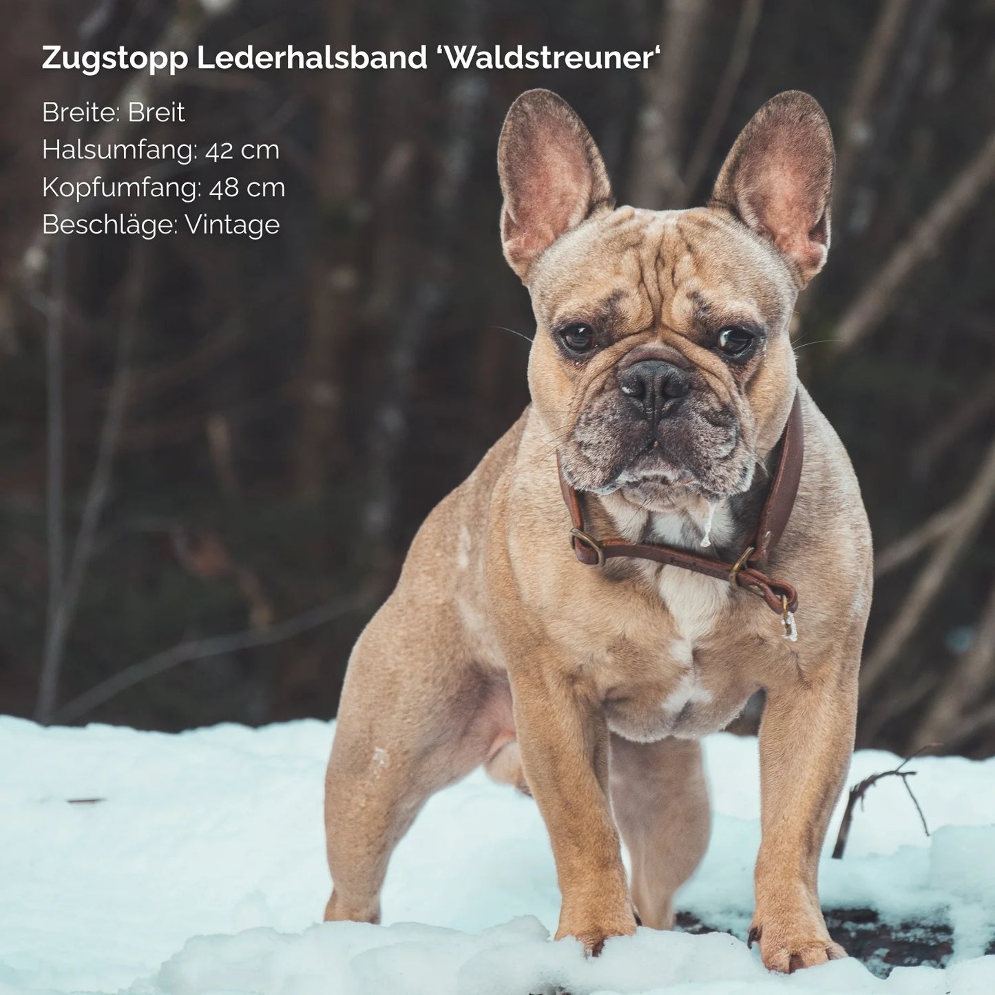Zugstopp-Lederhalsband 'Waldstreuner' Braun