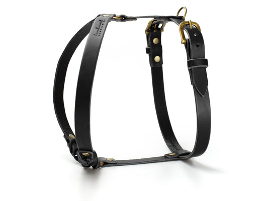 Ledergeschirr 'Waldstreuner' Schwarz