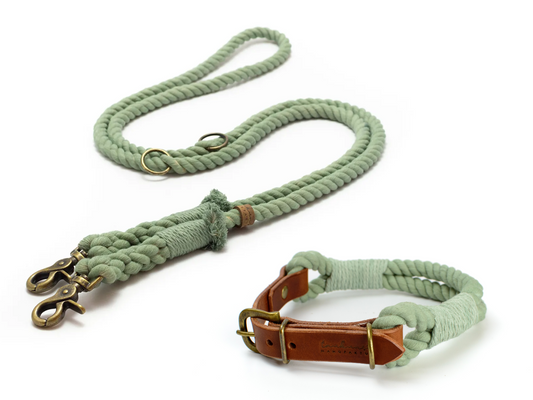 Set aus Halsband und Tauleine Basil für Hunde aus Baumwolle in Salbei